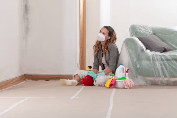Reliable Black Mold Removal contractor in Rebersburg, PA by WQB Mold Removal